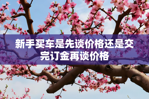 新手买车是先谈价格还是交完订金再谈价格