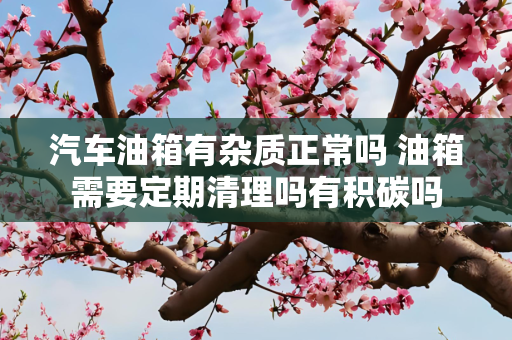 汽车油箱有杂质正常吗 油箱需要定期清理吗有积碳吗