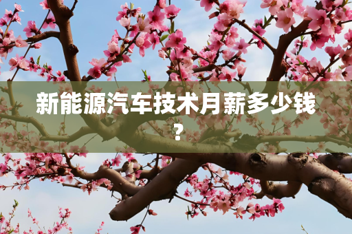新能源汽车技术月薪多少钱？