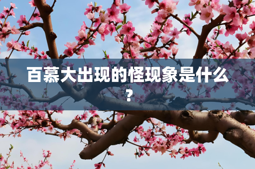 百慕大出现的怪现象是什么？