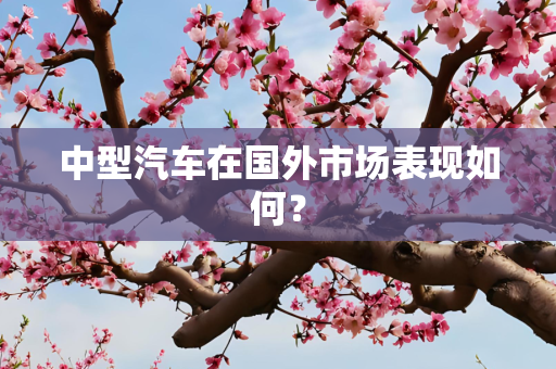 中型汽车在国外市场表现如何？