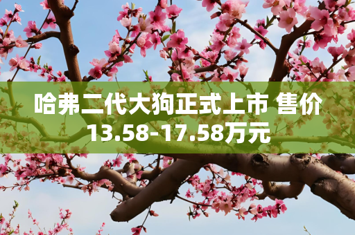 哈弗二代大狗正式上市 售价13.58-17.58万元
