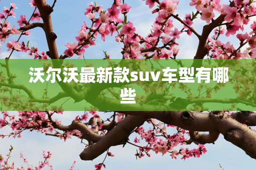 沃尔沃最新款suv车型有哪些
