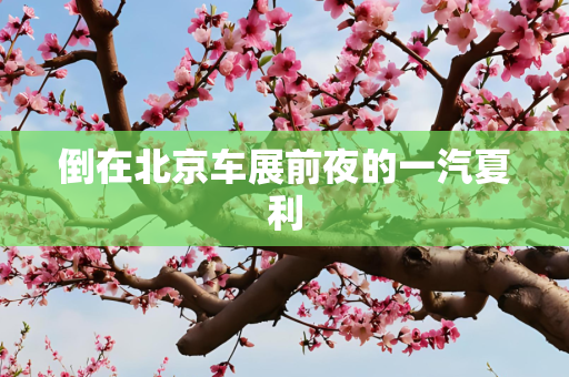 倒在北京车展前夜的一汽夏利
