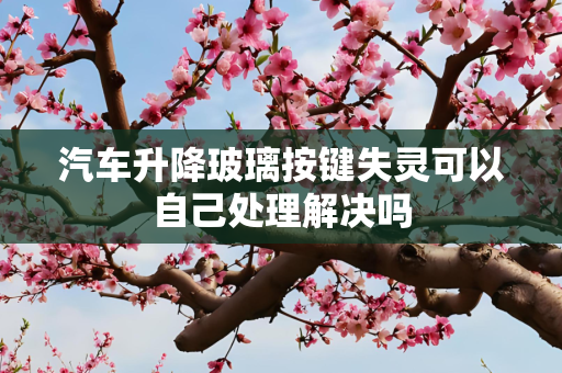 汽车升降玻璃按键失灵可以自己处理解决吗