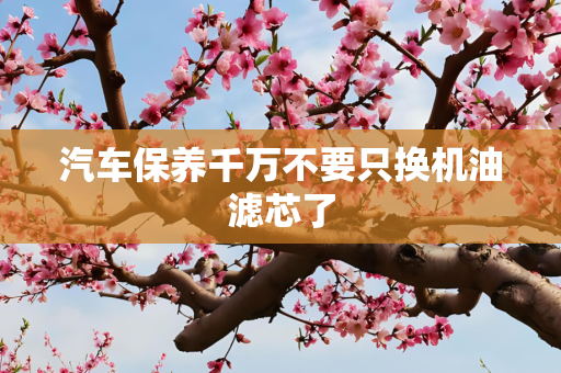 汽车保养千万不要只换机油滤芯了