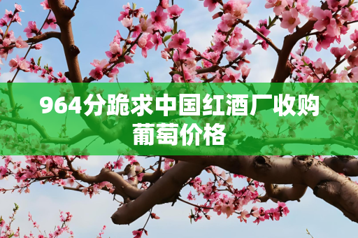 964分跪求中国红酒厂收购葡萄价格