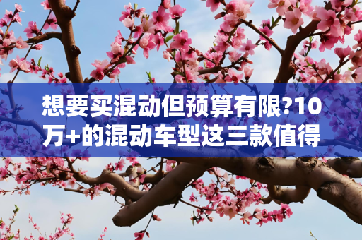 想要买混动但预算有限?10万+的混动车型这三款值得一看