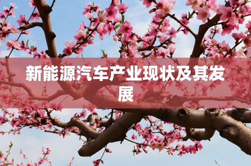 新能源汽车产业现状及其发展