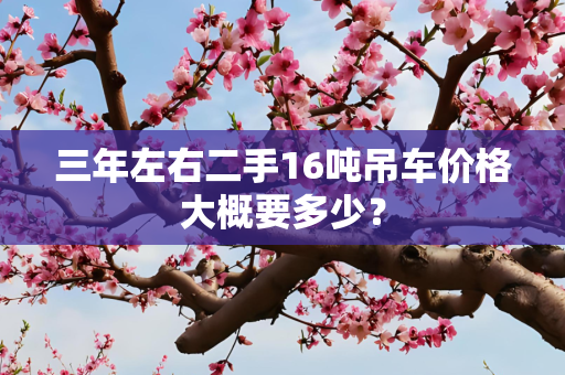 三年左右二手16吨吊车价格大概要多少？