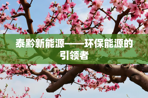 泰黔新能源——环保能源的引领者