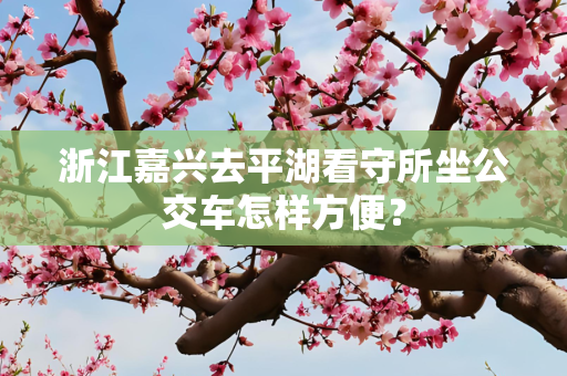 浙江嘉兴去平湖看守所坐公交车怎样方便？
