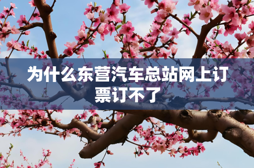为什么东营汽车总站网上订票订不了