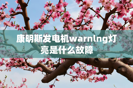 康明斯发电机warnlng灯亮是什么故障