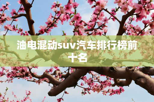 油电混动suv汽车排行榜前十名