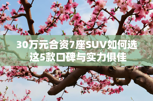 30万元合资7座SUV如何选 这5款口碑与实力俱佳