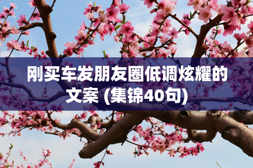 刚买车发朋友圈低调炫耀的文案 (集锦40句)