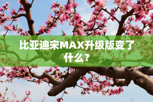比亚迪宋MAX升级版变了什么？
