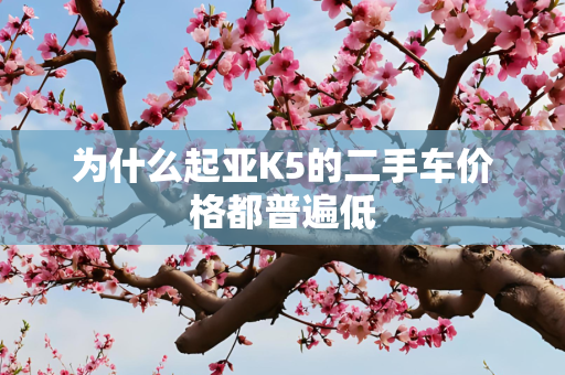 为什么起亚K5的二手车价格都普遍低