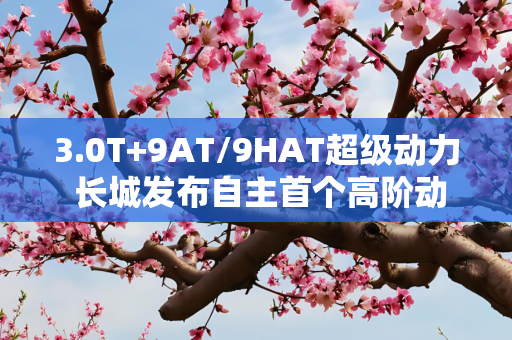 3.0T+9AT/9HAT超级动力 长城发布自主首个高阶动力总成