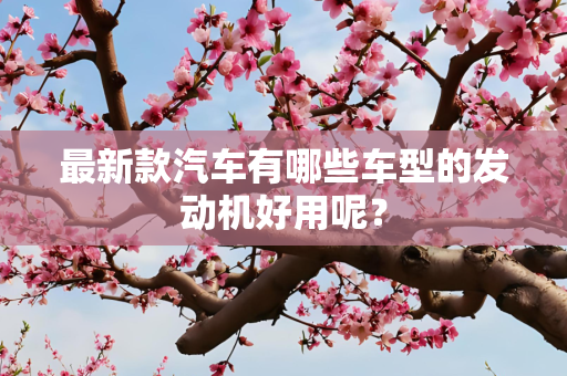 最新款汽车有哪些车型的发动机好用呢？