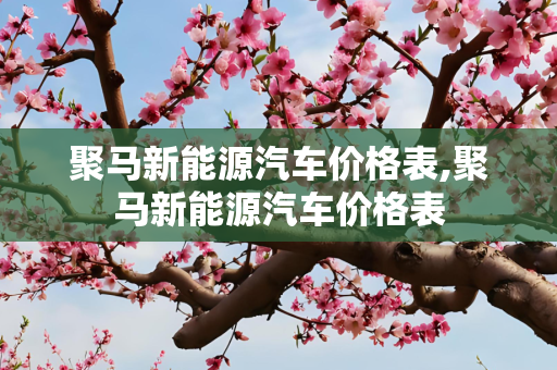 聚马新能源汽车价格表,聚马新能源汽车价格表