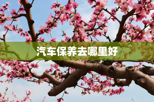 汽车保养去哪里好