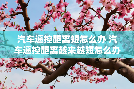 汽车遥控距离短怎么办 汽车遥控距离越来越短怎么办