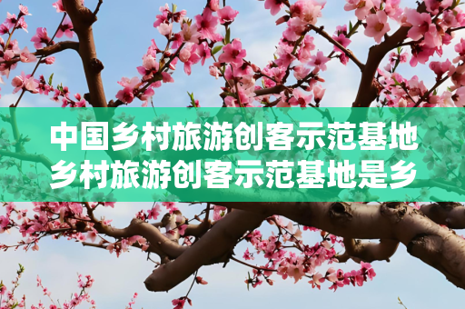 中国乡村旅游创客示范基地乡村旅游创客示范基地是乡村旅游的转型升级吗？