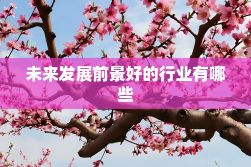 未来发展前景好的行业有哪些
