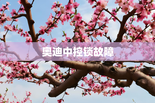 奥迪中控锁故障