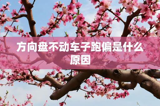 方向盘不动车子跑偏是什么原因