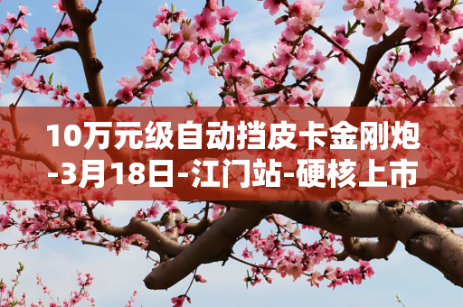 10万元级自动挡皮卡金刚炮-3月18日-江门站-硬核上市