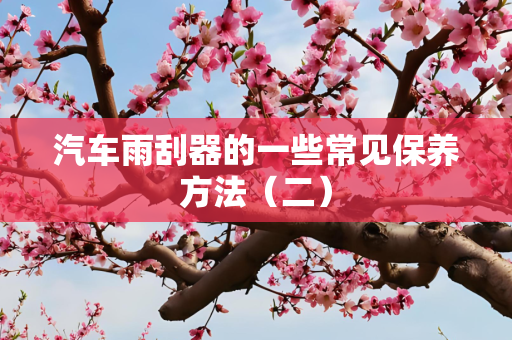 汽车雨刮器的一些常见保养方法（二）