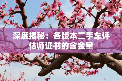 深度揭秘：各版本二手车评估师证书的含金量