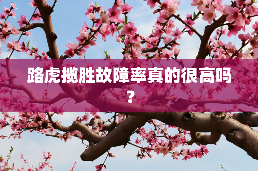 路虎揽胜故障率真的很高吗？