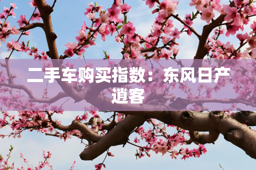 二手车购买指数：东风日产逍客