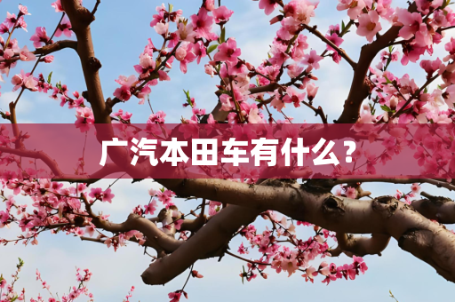 广汽本田车有什么？