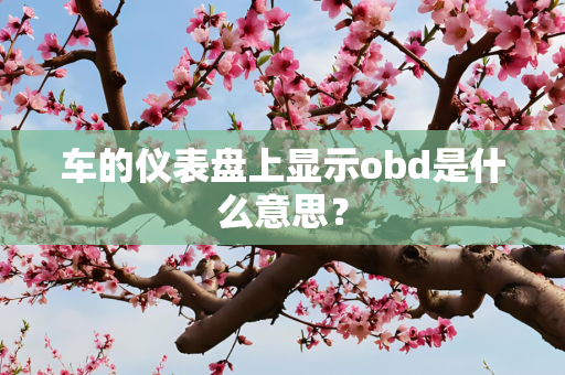 车的仪表盘上显示obd是什么意思？