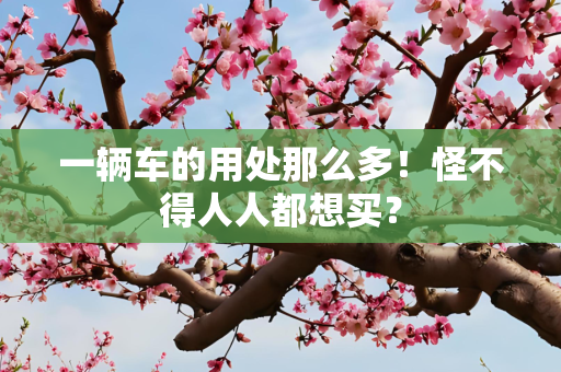 一辆车的用处那么多！怪不得人人都想买？