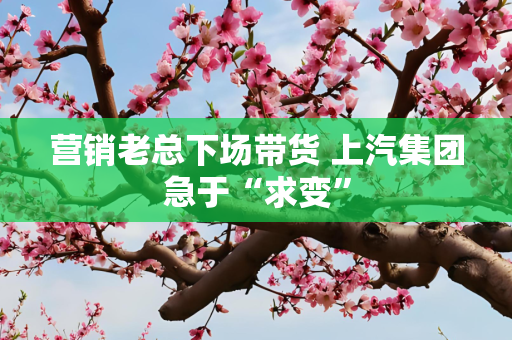 营销老总下场带货 上汽集团急于“求变”