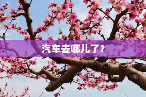 汽车去哪儿了？