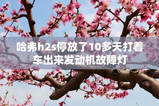 哈弗h2s停放了10多天打着车出来发动机故障灯