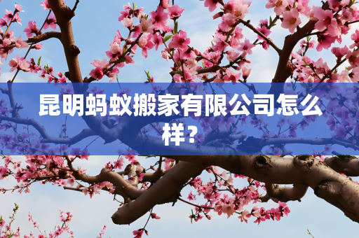 经济 第258页