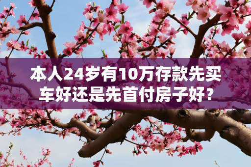 本人24岁有10万存款先买车好还是先首付房子好？