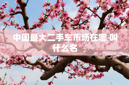 中国最大二手车市场在哪 叫什么名