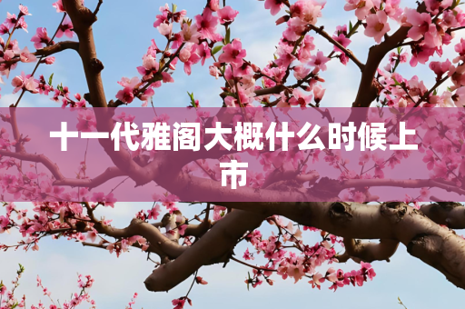 十一代雅阁大概什么时候上市