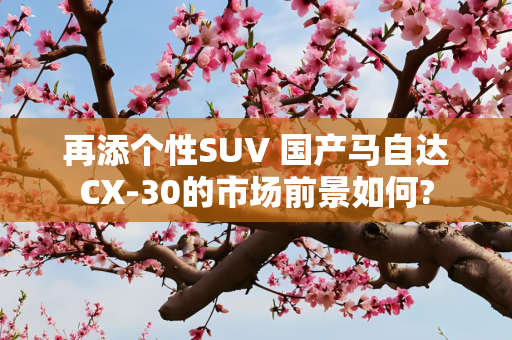 再添个性SUV 国产马自达CX-30的市场前景如何?