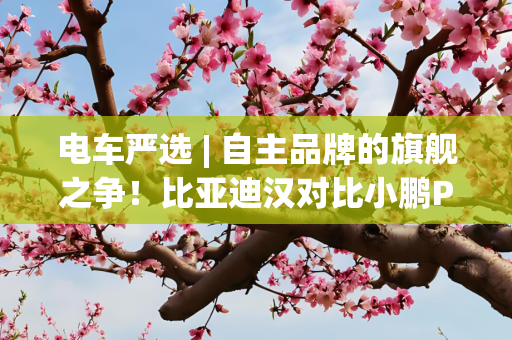 电车严选 | 自主品牌的旗舰之争！比亚迪汉对比小鹏P7