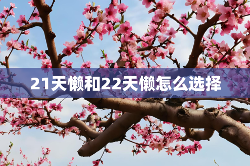 21天懒和22天懒怎么选择